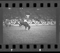 [Unknown Bareback rider]