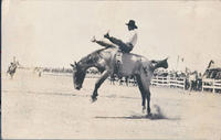 Bareback Riding Cheyenne Frontier Days, 1925