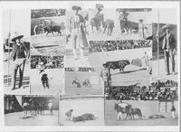 [Montage of bullfighting images]