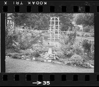 [Possibly Backyard at Laura Av.]