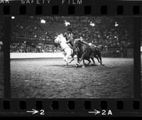 Ernie Taylor Steer wrestling, 6.2 Sec