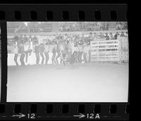 John LaFleur on Bull #68