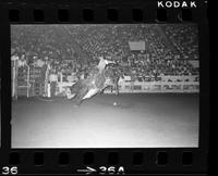 Gary Leffew on Bull #191