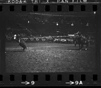 Steve Rogers Calf roping, 17.72 Sec
