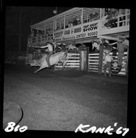 LeRoy Burden on Bull #33