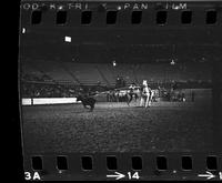 Bobby Roberto Calf roping