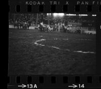 Billy Hale Steer wrestling, 3.9 sec