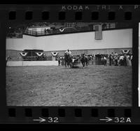 Myron Morehouse Steer wrestling, 6.7 Sec