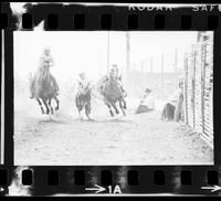 C.T. Jones Steer wrestling