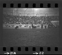 Barry Burk Calf roping