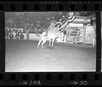 [Unknown Bull rider]