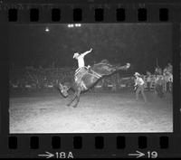 Gene Maynard on Brown Jug