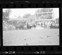 Jerry Maull Steer wrestling