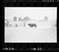 [Unknown clown bull fighting]