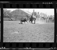 Benny Camp Calf roping