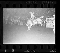 [Unknown Saddle bronc rider]