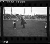 [Unknown horse show]