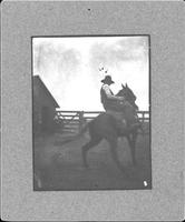 [Cowboy on horse within corral]