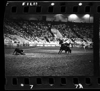 Gene McCoy Calf roping