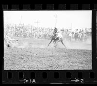 Dick Hoose Calf roping, 13.9 Sec