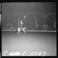 Bobby Clark Jumping Mules