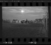 Wesley Myers Calf roping, 15.7 Sec