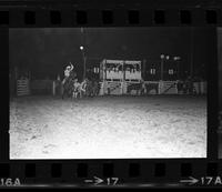 Gerald Cosby Steer wrestling, 11.3 Sec