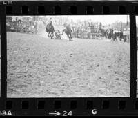 J.W. Farrington Steer wrestling, 5.9 Sec