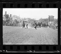 Quinn De Imperio Calf roping