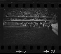 Pat Henderson Calf roping