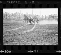 Corky Warren Steer wrestling, 10.9 Sec