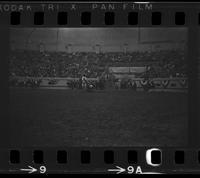 Walt Linderman Steer wrestling