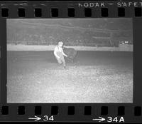 Unidentified rodeo clown bull fighting