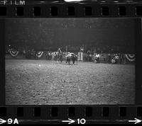 Junior Meek Steer wrestling