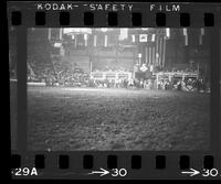 Gene Player Steer wrestling