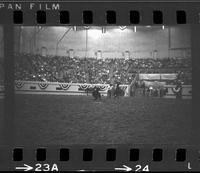 Junior Garrison Calf roping