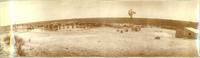 [Cattle surrounding small pond with Windmill and Ranch outbuilding]