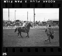 [Unknown horse show]