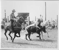 J.E. Ranch Rodeo Waverly, N.Y. 1930's