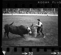 Frank Curry Bull fighting