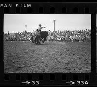 [Unknown Bull rider]