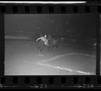 Rodeo clowns Bull fighting with Bull #36