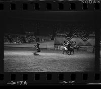 Tom Young Calf roping