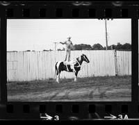 J.W. Stoker Trick standing on horse