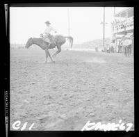 Joe Graham on Saddle bronc #L127