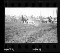 Bob Rentz Calf roping