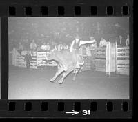 [Unknown Bull rider]