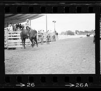 Wm. Vest (Ernie) on Bull #107