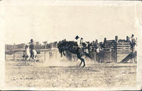 [Cowboys saddle bronc riding]