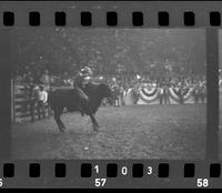 [Unknown Bull rider]